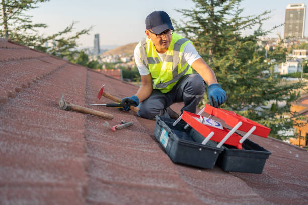 Best Construction Debris Removal  in Marshallville, GA